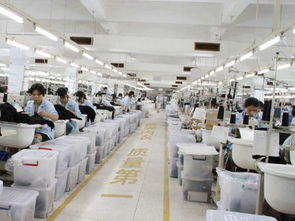 內衣廠家為何信賴波而朵 品質、創(chuàng)新與服務的三重保障