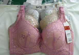 批發(fā)優(yōu)質品牌文胸，舒適柔軟，廠家直供，價格實惠，圖片實拍
